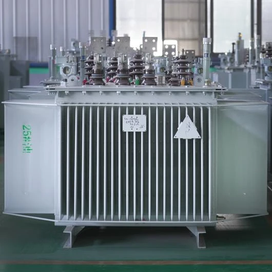 1000 KVA Oil Immersed Type Transformers