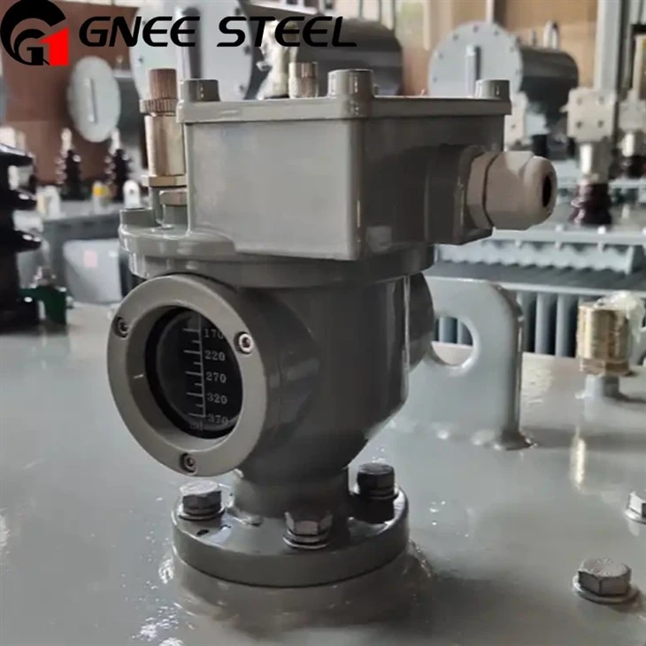 300 KVA 6.6 KV Oil Immersed Type Transformer
