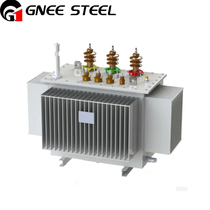 300 KVA 6.6 KV Oil Immersed Type Transformer