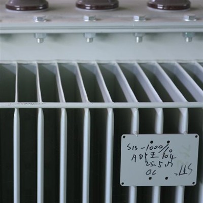 11kV 1000 kVA Oil Immersed Transformer: Design Principles, Performance Testin...