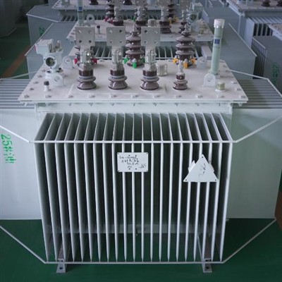 1000 kVA Dry Type Transformer vs Oil Immersed: Which Is Better for Your Project?